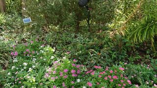 花もきれいなオフィスビル