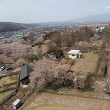 展望台からの眺めです。