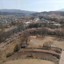 展望台からの眺めです。