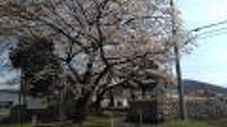 龍岡五稜郭から少し離れた所にあります。