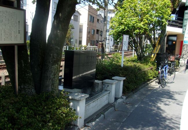 小田急電車や車が行きかう喧騒の地になったいるが、代々木公園の緑の斜面が救い。