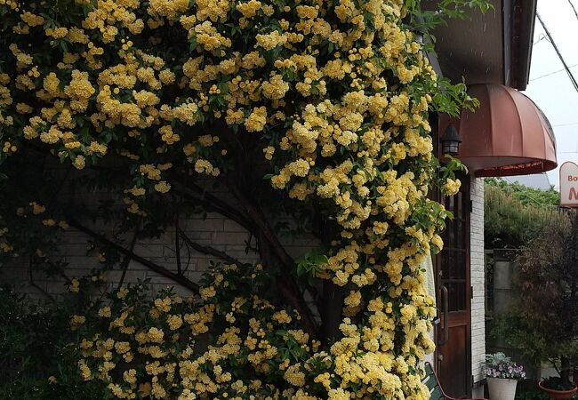 デニッシュとあんドーナツとオレンジベーグル