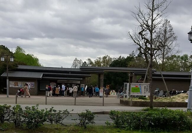 京都府立植物園 クチコミ アクセス 営業時間 下鴨 宝ヶ池 平安神宮 フォートラベル