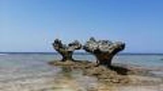 100円の駐車場あり