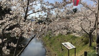 1時間以内であれば　駐車場は無料。