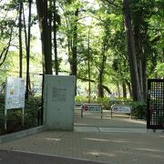 石神井公園に隣接の運動公園