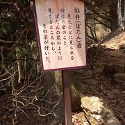 阿夫利神社から大山山頂へ向かう登山道に　牡丹岩