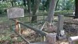 石神井公園の松の風文化公園近くに塚が有りました