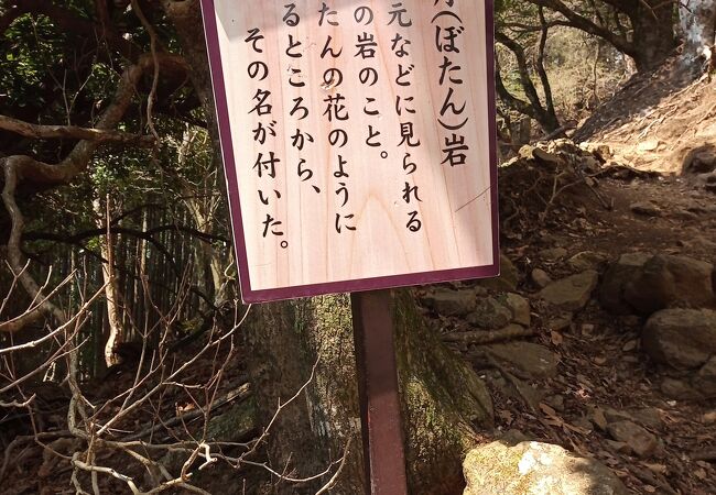 阿夫利神社から大山山頂へ向かう登山道に　牡丹岩