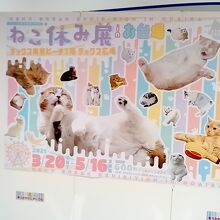 ねこ休み展 inお台場