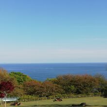 展望台からの景色