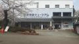 白石城関連展示のほか、お土産店、食堂、有料シアターも入っています。