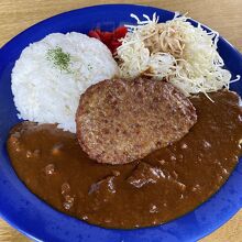 ハンバーグカレー