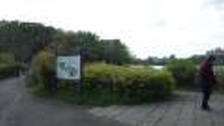 二つの池を有する大きな公園