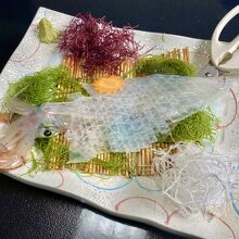 イカの活き造り