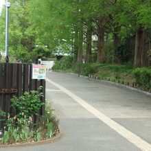 練馬区立温室植物園