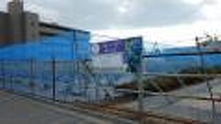 ブルーベリーの果樹園