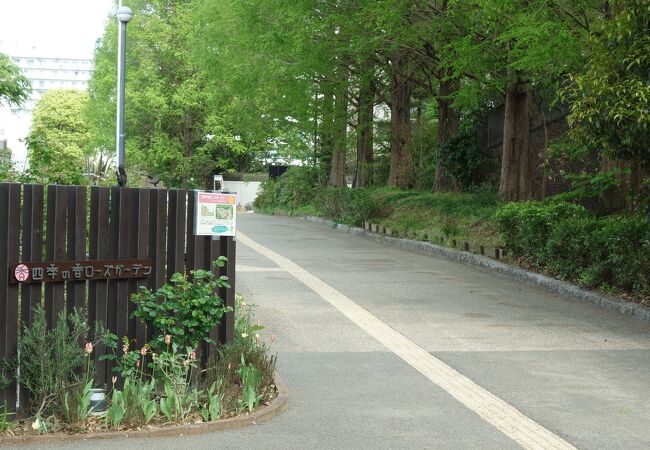 練馬区立温室植物園