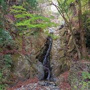 大山見晴台から阿夫利神社へ向かう途中にある滝