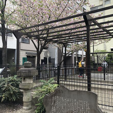 樋口一葉記念館前の公園