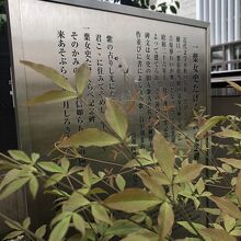 たけくらべの説明板