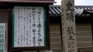 東寺の参拝に利用しました