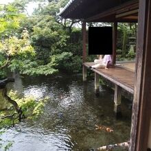 軒下まで豊富な湧水の池が広がっていました。