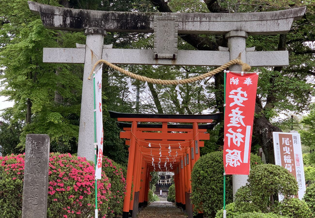 館林で有名な神社です