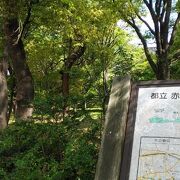 武蔵野崖線の自然を感じることができる広大な公園