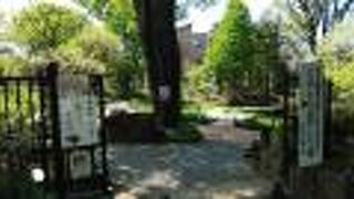 無料で様々な植物を観察できる