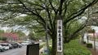 館林つつじが岡第二公園 (館林花菖蒲園)