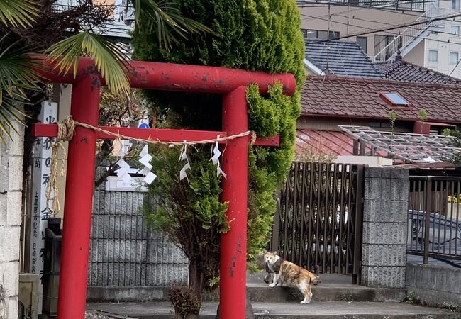 アニメの聖地ですが