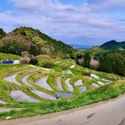 おお！絶景！