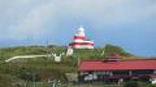 インスタ映えします