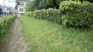 外から眺めるだけ