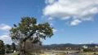 河川敷に整備された公園