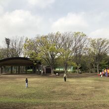 公園の芝生広場