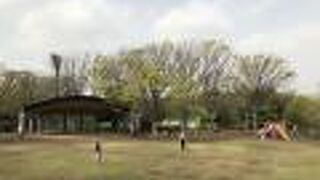 公園を周回する７００ｍのランニングコース