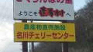 地元産の新鮮なやさいや加工品が買える