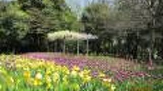 大和駅から近い花の溢れる美しい公園。