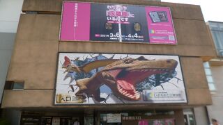 大迫力の恐竜に会える。