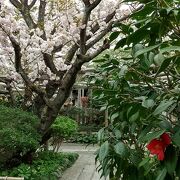 雨宝院