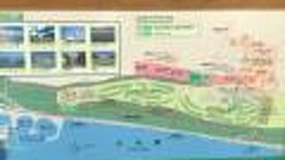 お花がとてもきれいでした