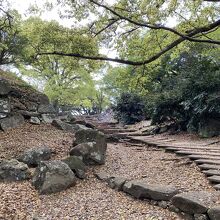 本丸大手の石段はカーブが美しい