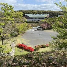 三の丸南東隅櫓台から博物館が見える