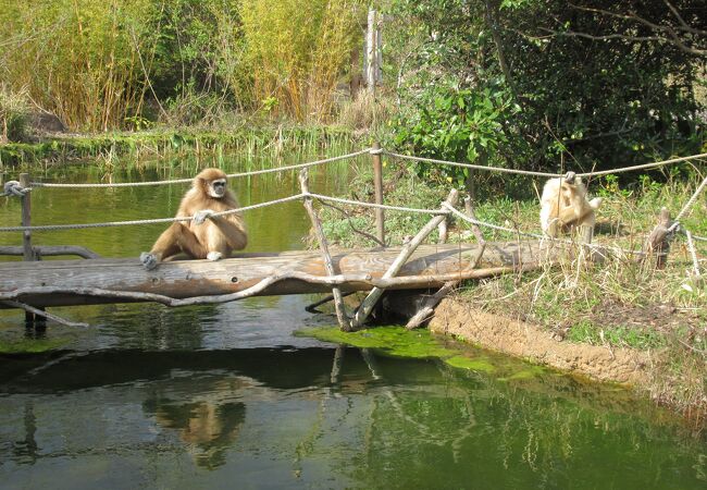ときわ動物園 クチコミ・アクセス・営業時間|宇部・小野田 ときわ動物園 クチコミ・アクセス・営業時間|宇部・小野田