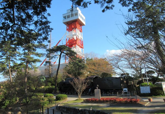 ときわ公園の中にある