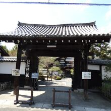 金地院庭園（鶴亀庭園）