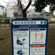 前屈などの運動器具の近くにも桜があり、花見気分で運動できます