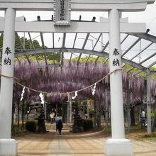 正面から見た境内